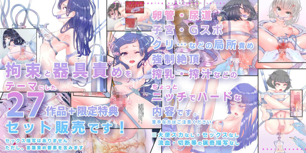 【少女誘拐実験】特別総集編第一弾 vol.1〜25+α【拘束器具責め作品集:文字あり 1,537枚】 画像1