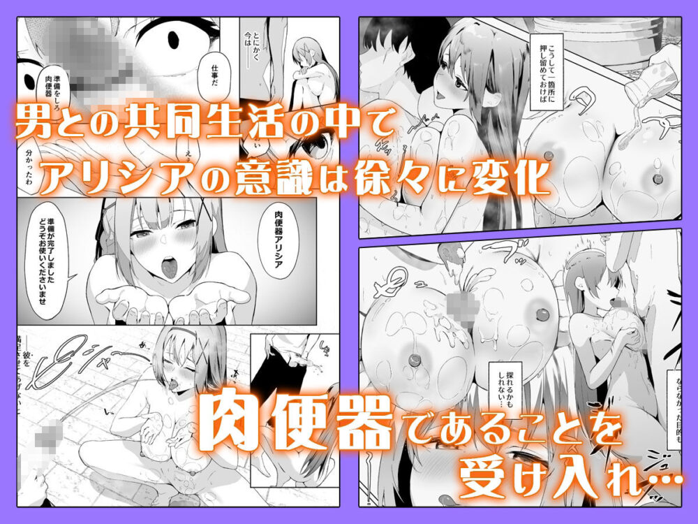 姫騎士アリシアの総集編 画像3
