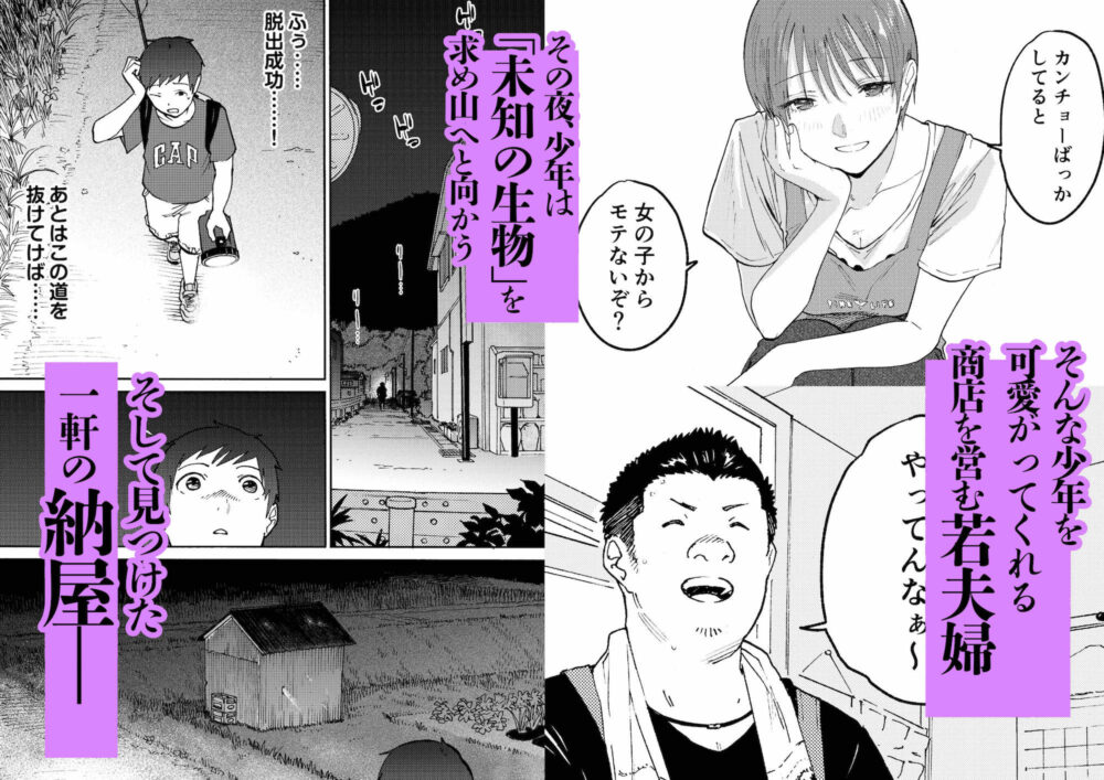 あの納屋 〜ぼくが見たことないおばさんの夜の姿〜 画像2