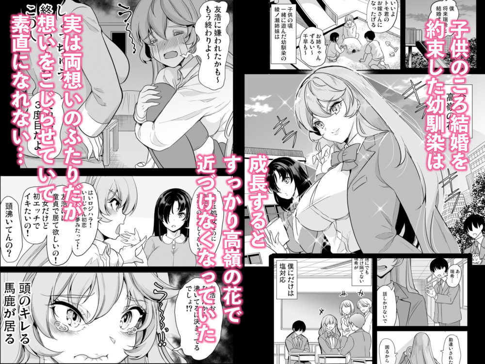 めんどくさい巨乳姉妹をセフレにした件 画像1