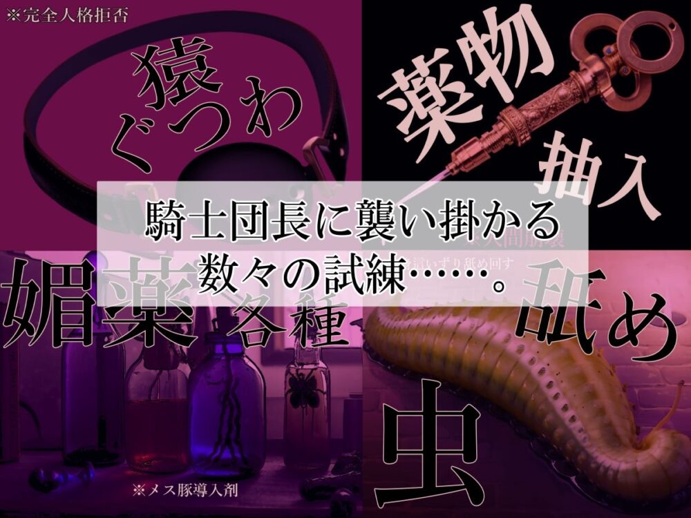 高潔女騎士団長、無様なる陥落! 男前→メス豚化ッ!! 画像3